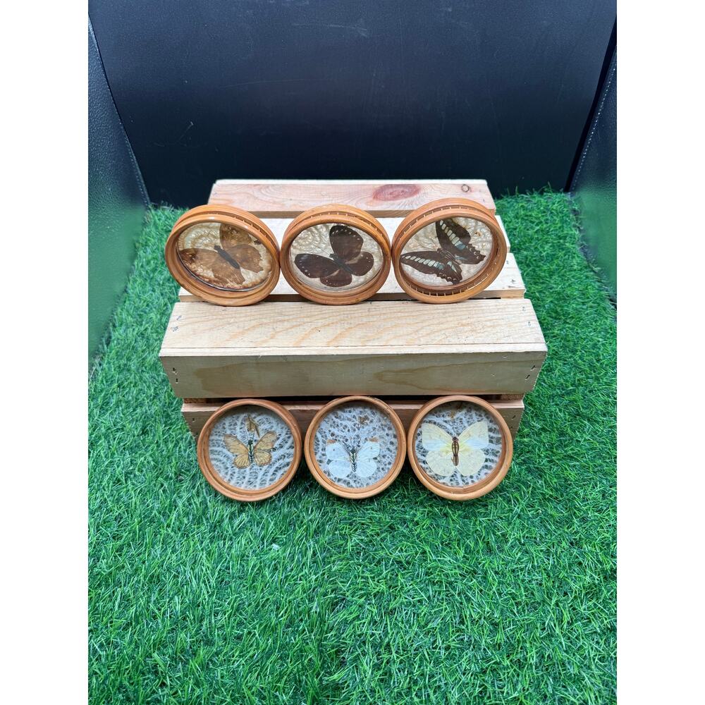 1970s Japanese Woven Bamboo & Rattan Butterfly Coasters – Set of 6